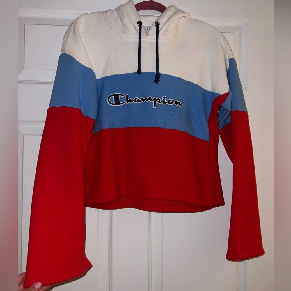 Champion cropped hoodie